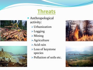 Threats
 Anthropological
activity:
 Urbanization
 Logging
 Mining
 Agriculture
 Acid rain
 Loss of keystone
species
 Pollution of soils etc.
 