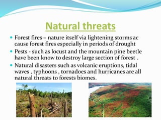Natural threats
 Forest fires – nature itself via lightening storms ac
cause forest fires especially in periods of drought
 Pests - such as locust and the mountain pine beetle
have been know to destroy large section of forest .
 Natural disasters such as volcanic eruptions, tidal
waves , typhoons , tornadoes and hurricanes are all
natural threats to forests biomes.
 