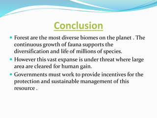 Conclusion
 Forest are the most diverse biomes on the planet . The
continuous growth of fauna supports the
diversification and life of millions of species.
 However this vast expanse is under threat where large
area are cleared for human gain.
 Governments must work to provide incentives for the
protection and sustainable management of this
resource .
 