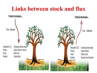 Links between stock and flux
 