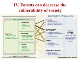 IV. Forests can decrease the
vulnerability of society
 