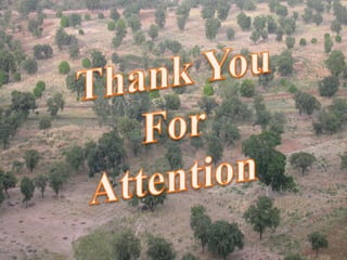 FOREST -CLIMATE CHANGE AND CONSEQUENCES-1.pdf