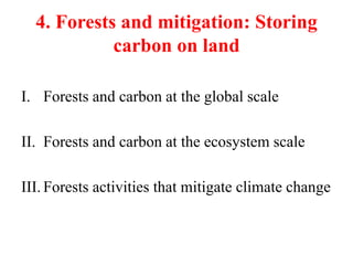 4. Forests and mitigation: Storing
carbon on land
I. Forests and carbon at the global scale
II. Forests and carbon at the ecosystem scale
III. Forests activities that mitigate climate change
 