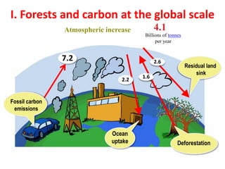 I. Forests and carbon at the global scale
Atmospheric increase 4.1
Billions of tonnes
per year
Fossil carbon
emissions
Ocean
uptake Deforestation
Residual land
sink
7.2 2.6
2.2
1.6
 