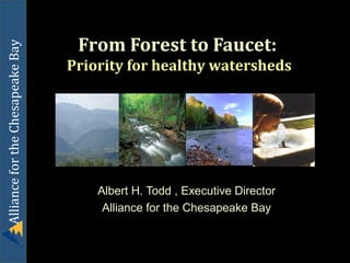 Alliance for the Chesapeake Bay

From Forest to Faucet:
Priority for healthy watersheds

Albert H. Todd , Executive Director
Alliance for the Chesapeake Bay

 