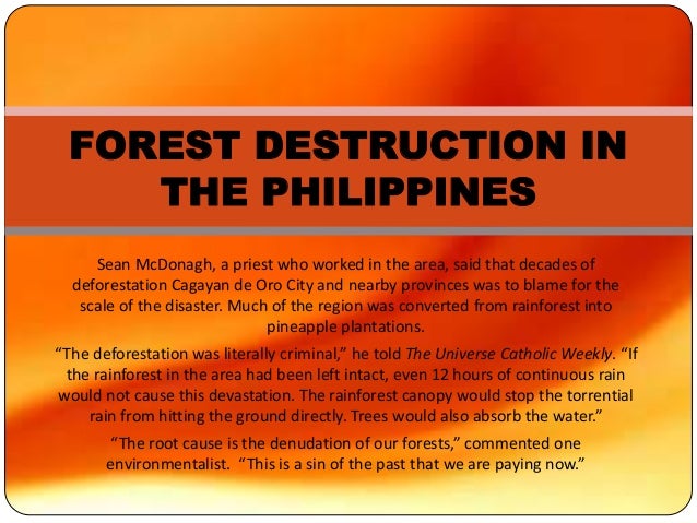 thesis about deforestation in the philippines