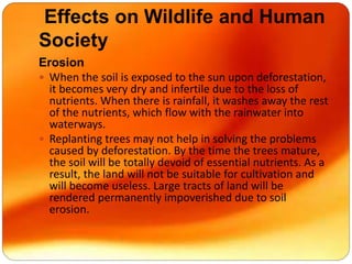 Effects on Wildlife and Human
Society
Erosion
 When the soil is exposed to the sun upon deforestation,
it becomes very dry and infertile due to the loss of
nutrients. When there is rainfall, it washes away the rest
of the nutrients, which flow with the rainwater into
waterways.
 Replanting trees may not help in solving the problems
caused by deforestation. By the time the trees mature,
the soil will be totally devoid of essential nutrients. As a
result, the land will not be suitable for cultivation and
will become useless. Large tracts of land will be
rendered permanently impoverished due to soil
erosion.
 