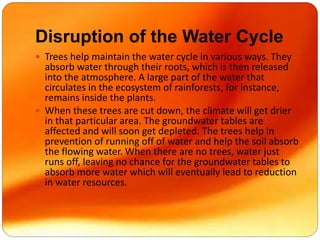 Disruption of the Water Cycle
 Trees help maintain the water cycle in various ways. They
absorb water through their roots, which is then released
into the atmosphere. A large part of the water that
circulates in the ecosystem of rainforests, for instance,
remains inside the plants.
 When these trees are cut down, the climate will get drier
in that particular area. The groundwater tables are
affected and will soon get depleted. The trees help in
prevention of running off of water and help the soil absorb
the flowing water. When there are no trees, water just
runs off, leaving no chance for the groundwater tables to
absorb more water which will eventually lead to reduction
in water resources.
 