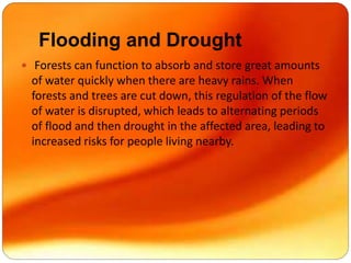 Flooding and Drought
 Forests can function to absorb and store great amounts
of water quickly when there are heavy rains. When
forests and trees are cut down, this regulation of the flow
of water is disrupted, which leads to alternating periods
of flood and then drought in the affected area, leading to
increased risks for people living nearby.
 