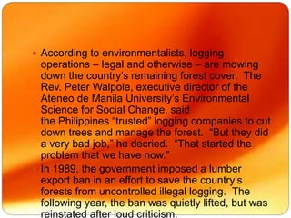  According to environmentalists, logging
operations – legal and otherwise – are mowing
down the country’s remaining forest cover. The
Rev. Peter Walpole, executive director of the
Ateneo de Manila University’s Environmental
Science for Social Change, said
the Philippines “trusted” logging companies to cut
down trees and manage the forest. “But they did
a very bad job,” he decried. “That started the
problem that we have now.”
 In 1989, the government imposed a lumber
export ban in an effort to save the country’s
forests from uncontrolled illegal logging. The
following year, the ban was quietly lifted, but was
reinstated after loud criticism.
 