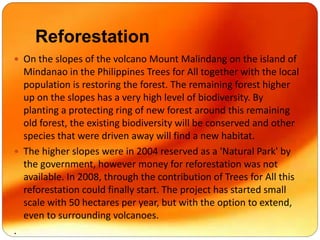 Reforestation
 On the slopes of the volcano Mount Malindang on the island of
Mindanao in the Philippines Trees for All together with the local
population is restoring the forest. The remaining forest higher
up on the slopes has a very high level of biodiversity. By
planting a protecting ring of new forest around this remaining
old forest, the existing biodiversity will be conserved and other
species that were driven away will find a new habitat.
 The higher slopes were in 2004 reserved as a 'Natural Park' by
the government, however money for reforestation was not
available. In 2008, through the contribution of Trees for All this
reforestation could finally start. The project has started small
scale with 50 hectares per year, but with the option to extend,
even to surrounding volcanoes.
.
 