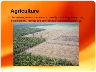 Agriculture
 Sometimes, forests are cleared to provide space for growing crops,
building farms, ranches and other lands for agricultural purposes.
 