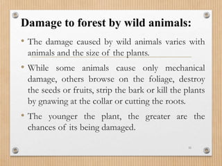 Damage to forest by wild animals:
• The damage caused by wild animals varies with
animals and the size of the plants.
• While some animals cause only mechanical
damage, others browse on the foliage, destroy
the seeds or fruits, strip the bark or kill the plants
by gnawing at the collar or cutting the roots.
• The younger the plant, the greater are the
chances of its being damaged.
11
 