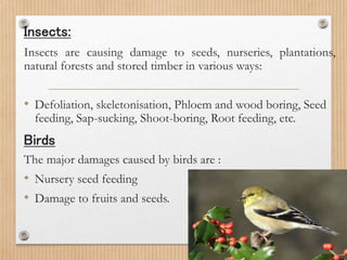 Insects:
Insects are causing damage to seeds, nurseries, plantations,
natural forests and stored timber in various ways:
• Defoliation, skeletonisation, Phloem and wood boring, Seed
feeding, Sap-sucking, Shoot-boring, Root feeding, etc.
Birds
The major damages caused by birds are :
• Nursery seed feeding
• Damage to fruits and seeds.
13
 