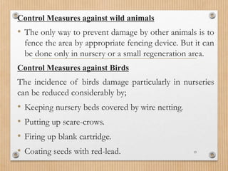 Control Measures against wild animals
• The only way to prevent damage by other animals is to
fence the area by appropriate fencing device. But it can
be done only in nursery or a small regeneration area.
Control Measures against Birds
The incidence of birds damage particularly in nurseries
can be reduced considerably by;
• Keeping nursery beds covered by wire netting.
• Putting up scare-crows.
• Firing up blank cartridge.
• Coating seeds with red-lead. 15
 