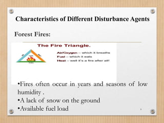 Characteristics of Different Disturbance Agents
Forest Fires:
9
•Fires often occur in years and seasons of low
humidity .
•A lack of snow on the ground
•Available fuel load
 