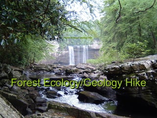 Forest Ecology/Geology Hike Forest Ecology/ Geology Hike 