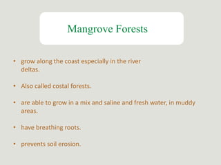 Mangrove Forests
• grow along the coast especially in the river
deltas.
• Also called costal forests.
• are able to grow in a mix and saline and fresh water, in muddy
areas.
• have breathing roots.
• prevents soil erosion.
 