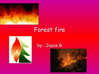 Forest fire by  : Joyce G 