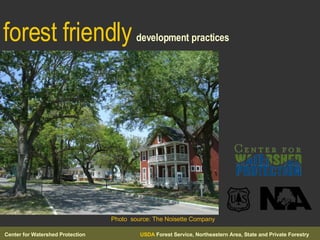 forest friendly   development practices Photo  source: The Noisette Company 