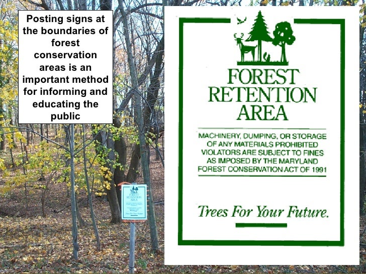 Forest Friendly Development Practices