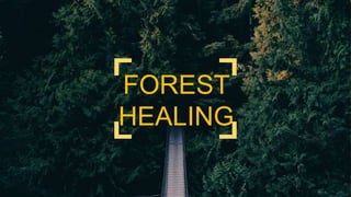 FOREST
HEALING
 