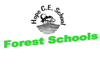 Forest Schools 