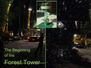 The Beginning  of the  Forest Tower 