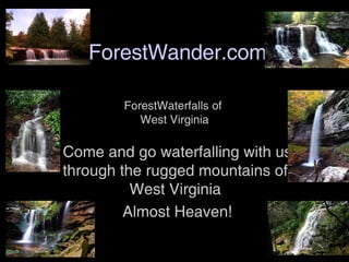 ForestWander.com Come and go waterfalling with us through the rugged mountains of  West Virginia  Almost Heaven! ForestWaterfalls of  West Virginia 