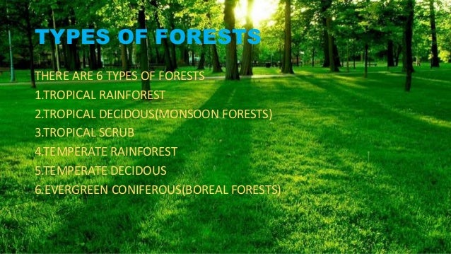 forest (conservation)act,1980-environmental studies