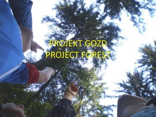 PROJEKT GOZD
PROJECT FOREST
 
