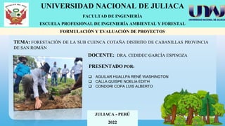 UNIVERSIDAD NACIONAL DE JULIACA
FACULTAD DE INGENIERÍA
ESCUELA PROFESIONAL DE INGENIERÍA AMBIENTAL Y FORESTAL
FORMULACIÓN Y EVALUACIÓN DE PROYECTOS
TEMA: FORESTACIÓN DE LA SUB CUENCA COTAÑA DISTRITO DE CABANILLAS PROVINCIA
DE SAN ROMÁN
PRESENTADO POR:
 AGUILAR HUALLPA RENÉ WASHINGTON
 CALLA QUISPE NOELIA EDITH
 CONDORI COPA LUIS ALBERTO
DOCENTE: DRA. CEDIDEC GARCÍA ESPINOZA
JULIACA - PERÚ
2022
 