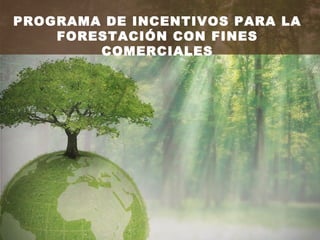 PROGRAMA DE INCENTIVOS PARA LA
FORESTACIÓN CON FINES
COMERCIALES
 
