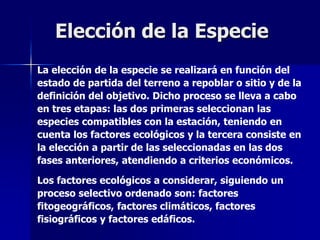 Elección de la Especie
La elección de la especie se realizará en función del
estado de partida del terreno a repoblar o sitio y de la
definición del objetivo. Dicho proceso se lleva a cabo
en tres etapas: las dos primeras seleccionan las
especies compatibles con la estación, teniendo en
cuenta los factores ecológicos y la tercera consiste en
la elección a partir de las seleccionadas en las dos
fases anteriores, atendiendo a criterios económicos.
Los factores ecológicos a considerar, siguiendo un
proceso selectivo ordenado son: factores
fitogeográficos, factores climáticos, factores
fisiográficos y factores edáficos.
 