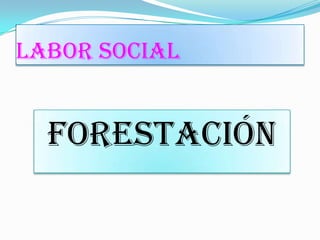 LABOR SOCIAL


  Forestación
 