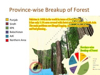 Province-wise Breakup of Forest
• Punjab
• Sindh
• KPK
• Balochistan
• AJK
• Northern Area
 