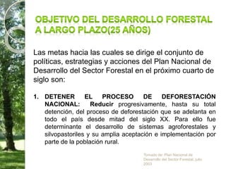 Las metas hacia las cuales se dirige el conjunto de
políticas, estrategias y acciones del Plan Nacional de
Desarrollo del Sector Forestal en el próximo cuarto de
siglo son:
1. DETENER EL PROCESO DE DEFORESTACIÓN
NACIONAL: Reducir progresivamente, hasta su total
detención, del proceso de deforestación que se adelanta en
todo el país desde mitad del siglo XX. Para ello fue
determinante el desarrollo de sistemas agroforestales y
silvopastoriles y su amplia aceptación e implementación por
parte de la población rural.
Tomado de: Plan Nacional de
Desarrollo del Sector Forestal, julio
2003
 