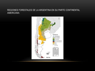 REGIONES FORESTALES DE LA ARGENTINA EN SU PARTE CONTINENTAL
AMERICANA
 