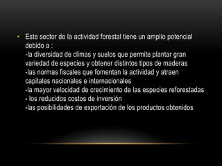 • Este sector de la actividad forestal tiene un amplio potencial
debido a :
-la diversidad de climas y suelos que permite plantar gran
variedad de especies y obtener distintos tipos de maderas
-las normas fiscales que fomentan la actividad y atraen
capitales nacionales e internacionales
-la mayor velocidad de crecimiento de las especies reforestadas
- los reducidos costos de inversión
-las posibilidades de exportación de los productos obtenidos
 