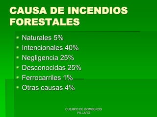 CUERPO DE BOMBEROS
PILLARO
CAUSA DE INCENDIOS
FORESTALES
 Naturales 5%
 Intencionales 40%
 Negligencia 25%
 Desconocidas 25%
 Ferrocarriles 1%
 Otras causas 4%
 
