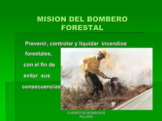 CUERPO DE BOMBEROS
PILLARO
MISION DEL BOMBERO
FORESTAL
Prevenir, controlar y liquidar incendios
forestales,
con el fin de
evitar sus
consecuencias.
 
