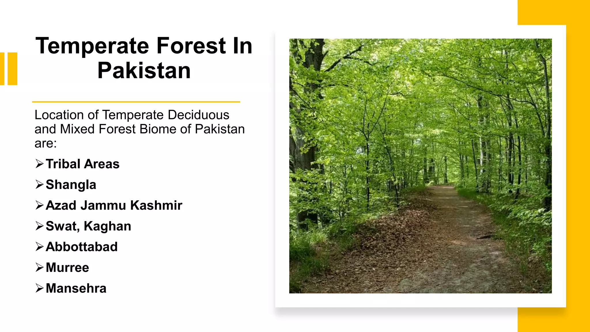 Temperate Forest In
Pakistan
Location of Temperate Deciduous
and Mixed Forest Biome of Pakistan
are:
➢Tribal Areas
➢Shangla
➢Azad Jammu Kashmir
➢Swat, Kaghan
➢Abbottabad
➢Murree
➢Mansehra
 