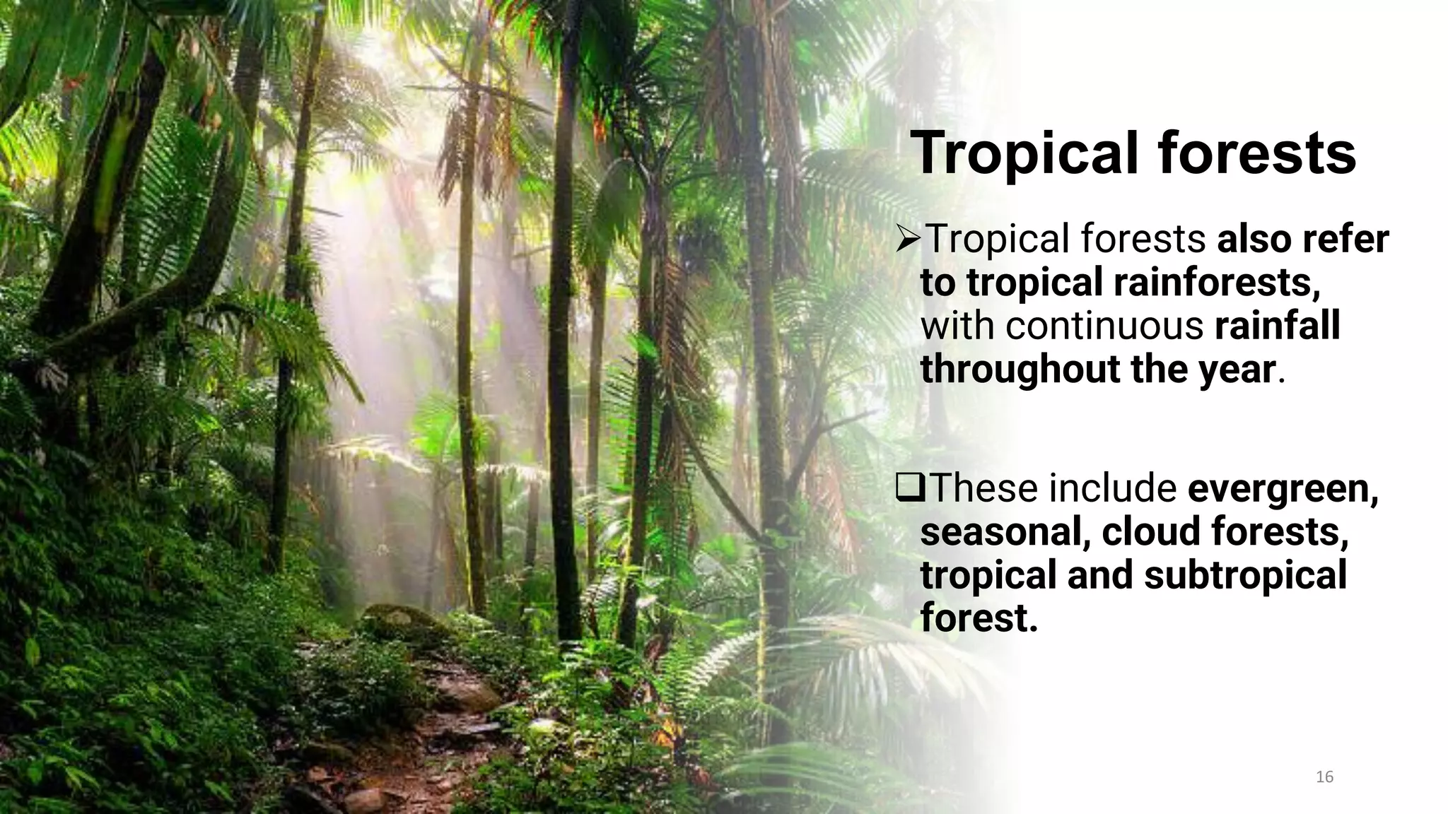 Tropical forests
➢Tropical forests also refer
to tropical rainforests,
with continuous rainfall
throughout the year.
❑These include evergreen,
seasonal, cloud forests,
tropical and subtropical
forest.
16
 