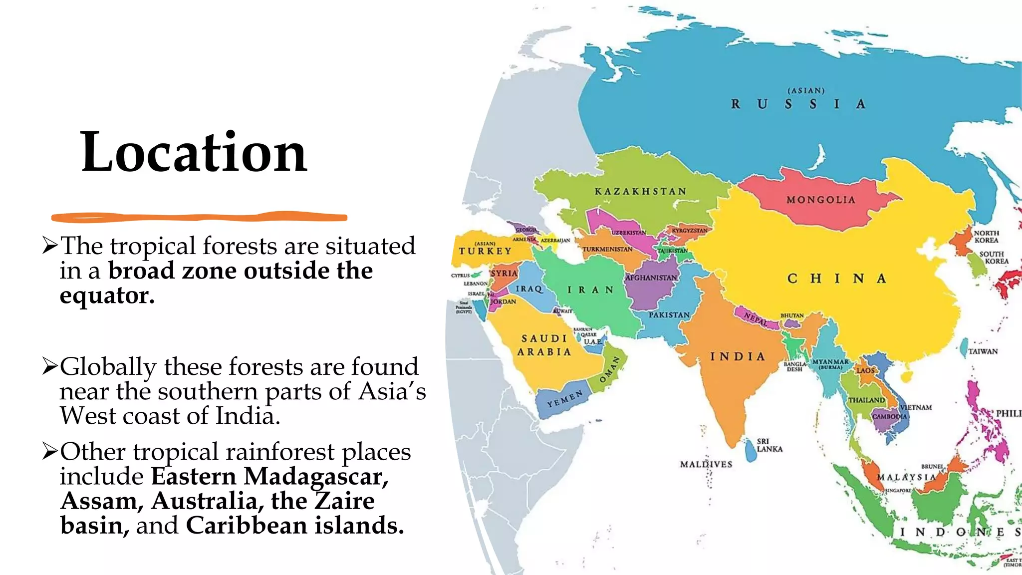 Location
➢The tropical forests are situated
in a broad zone outside the
equator.
➢Globally these forests are found
near the southern parts of Asia’s
West coast of India.
➢Other tropical rainforest places
include Eastern Madagascar,
Assam, Australia, the Zaire
basin, and Caribbean islands.
17
 