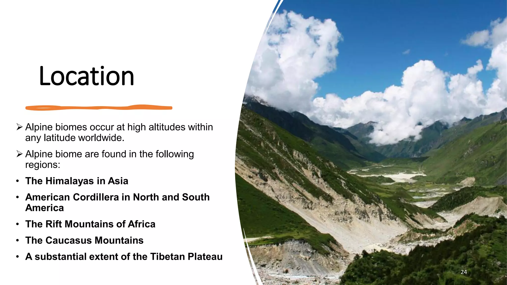 Location
➢ Alpine biomes occur at high altitudes within
any latitude worldwide.
➢ Alpine biome are found in the following
regions:
• The Himalayas in Asia
• American Cordillera in North and South
America
• The Rift Mountains of Africa
• The Caucasus Mountains
• A substantial extent of the Tibetan Plateau
24
 