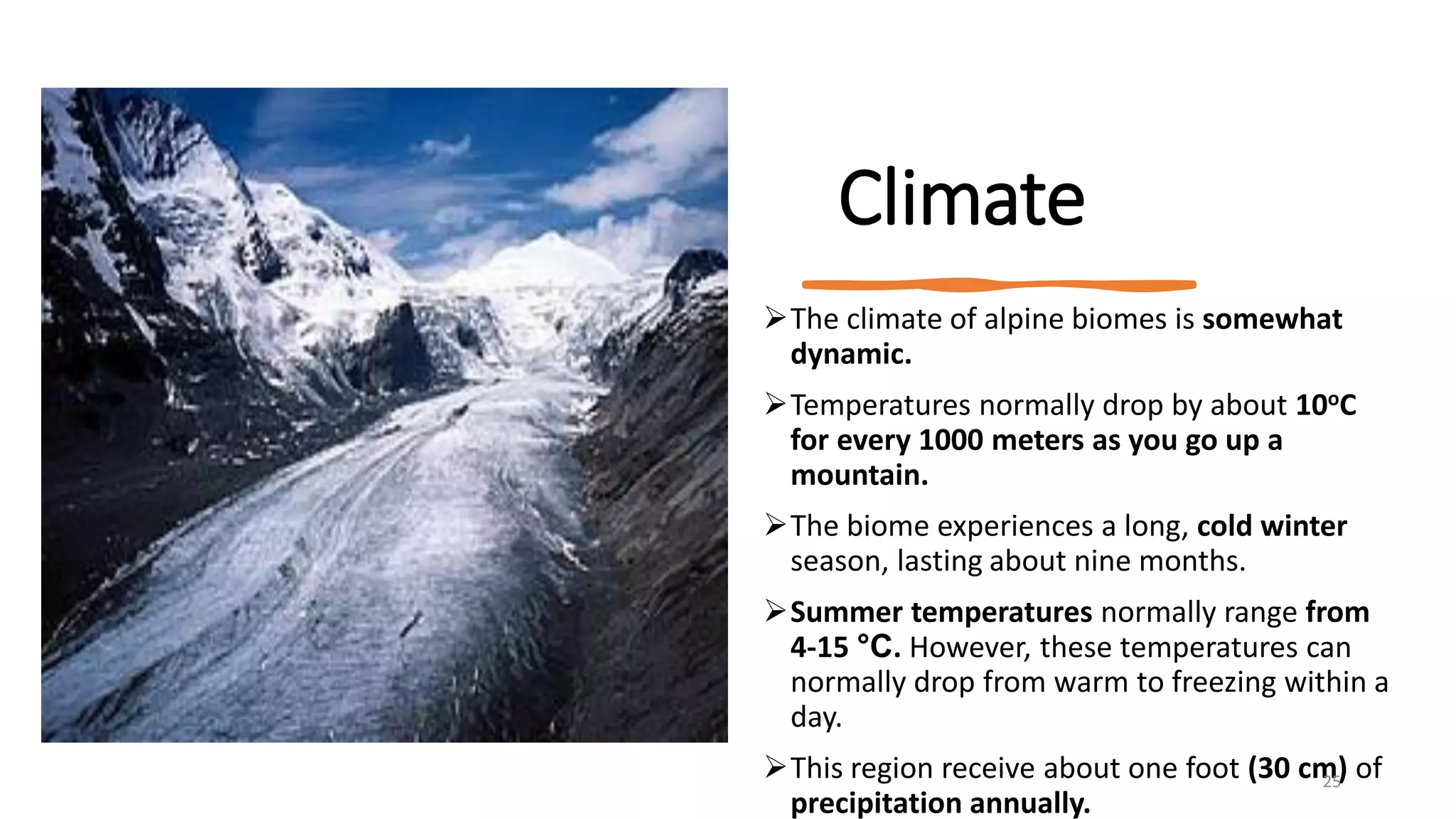 Climate
➢The climate of alpine biomes is somewhat
dynamic.
➢Temperatures normally drop by about 10oC
for every 1000 meters as you go up a
mountain.
➢The biome experiences a long, cold winter
season, lasting about nine months.
➢Summer temperatures normally range from
4-15 °C. However, these temperatures can
normally drop from warm to freezing within a
day.
➢This region receive about one foot (30 cm) of
precipitation annually.
25
 