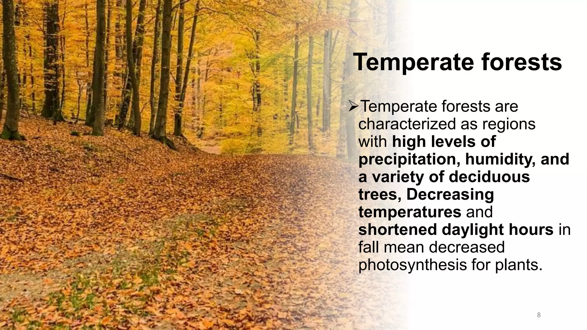 Temperate forests
➢Temperate forests are
characterized as regions
with high levels of
precipitation, humidity, and
a variety of deciduous
trees, Decreasing
temperatures and
shortened daylight hours in
fall mean decreased
photosynthesis for plants.
8
 