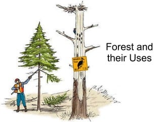 Forest and their Uses 