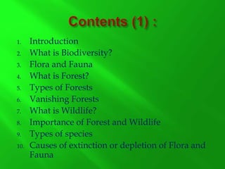 Forest and wildlife | PPTX