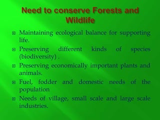 Forest and wildlife | PPTX